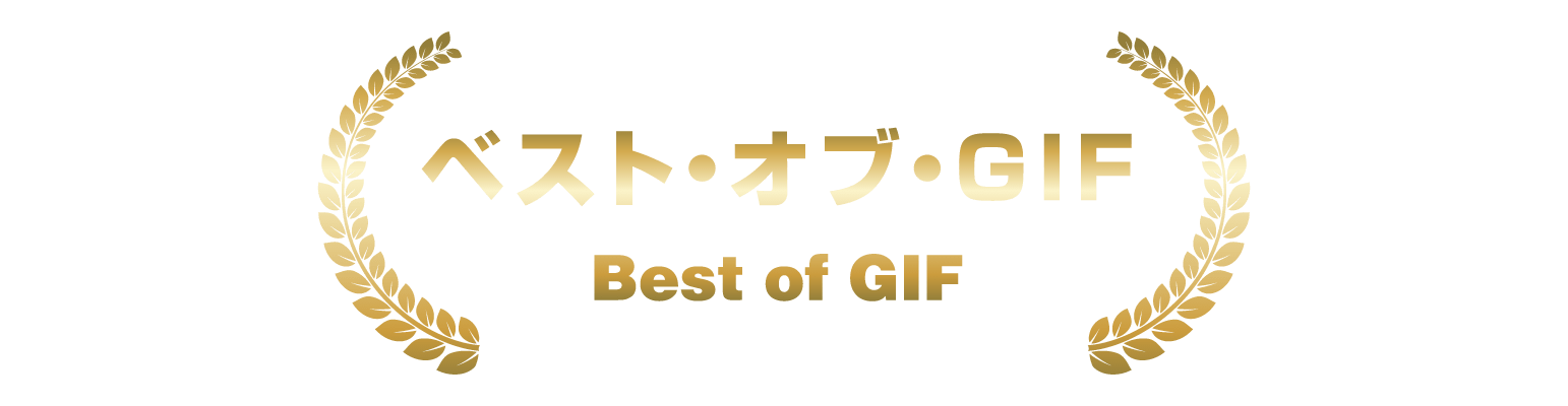 ベスト・オブ・GIF Best of GIF